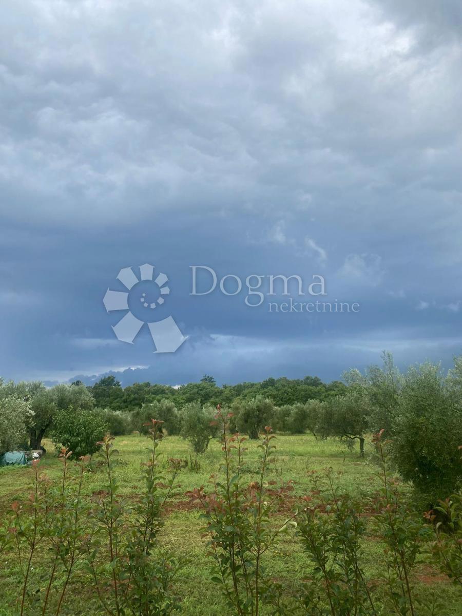 House For sale - ISTARSKA BRTONIGLA