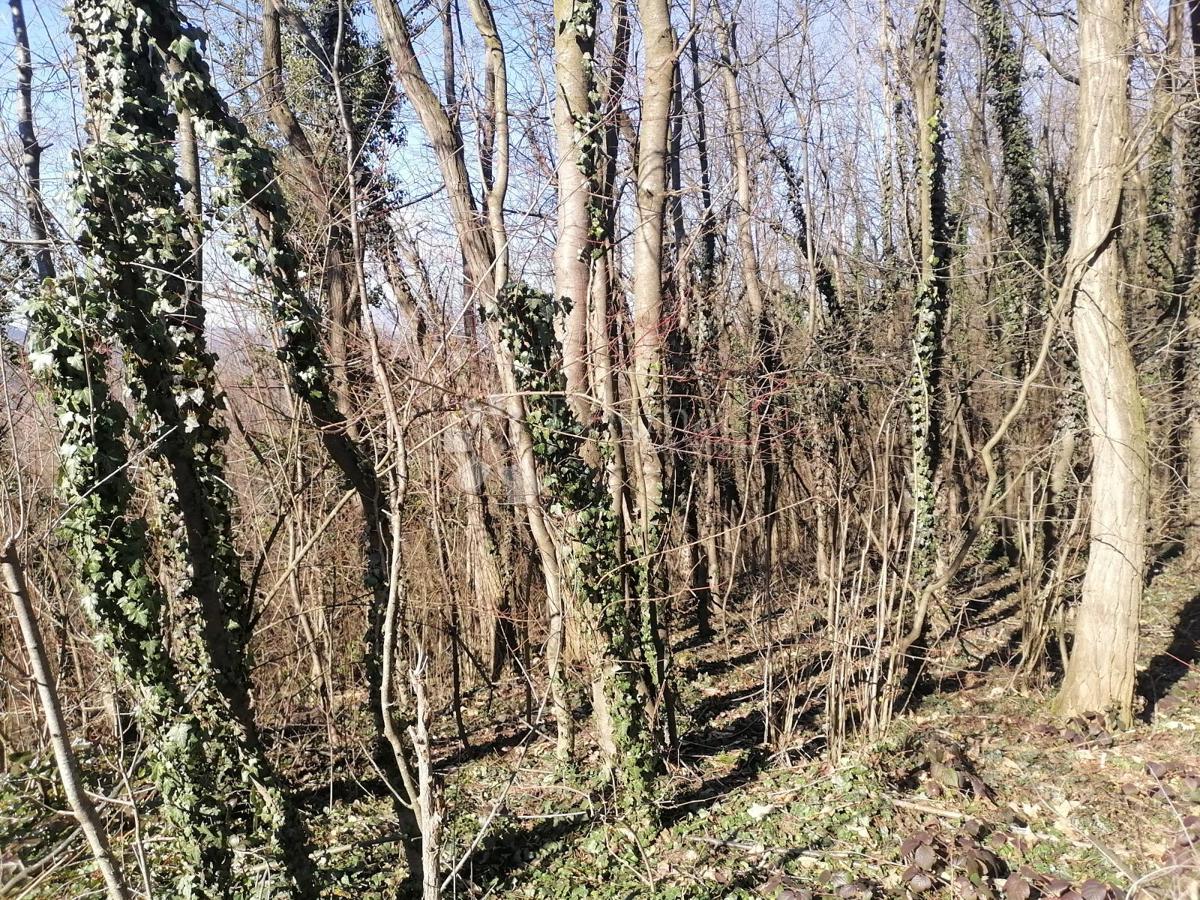 Terrain À vendre - Varaždinska Visoko - foto 4/4