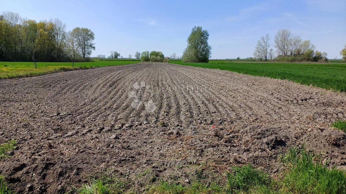 Działka Na sprzedaż - OSJEČKO-BARANJSKA DARDA
