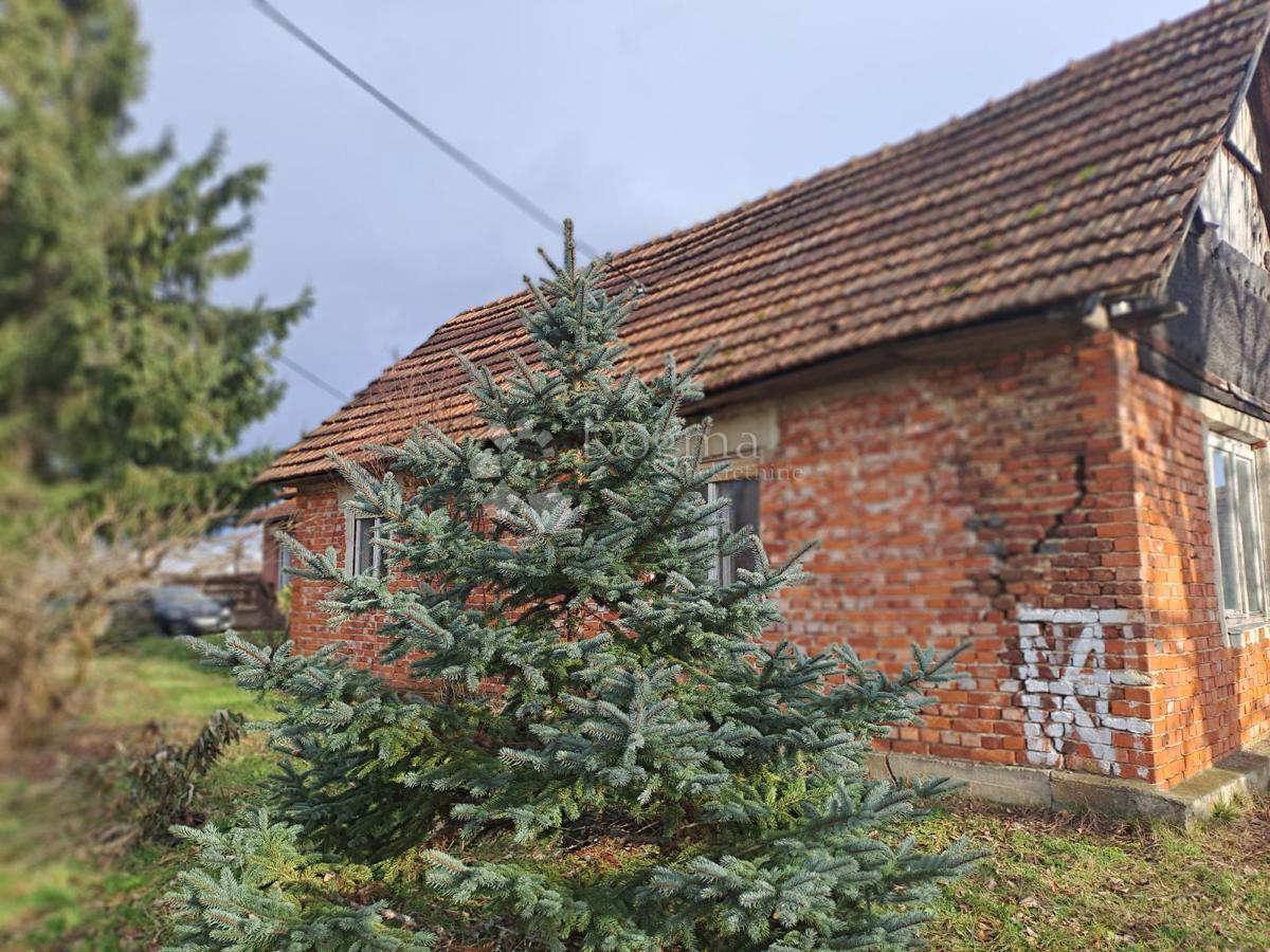 Maison À vendre - Sisačko-moslavačka Gvozd - foto 3/31
