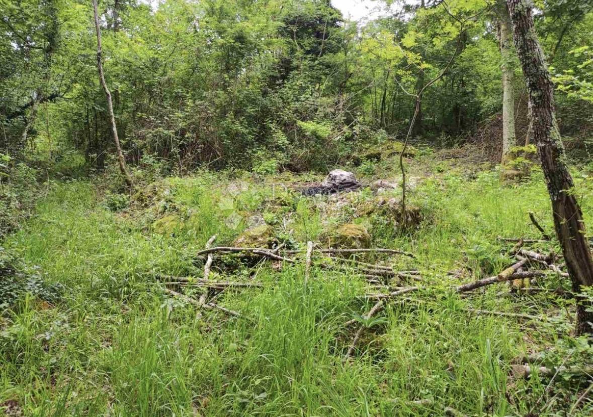 Land For sale - Istarska Buzet - foto 2/3