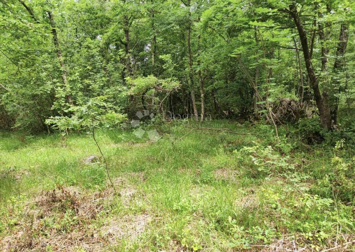 Land For sale - Istarska Buzet - foto 3/3