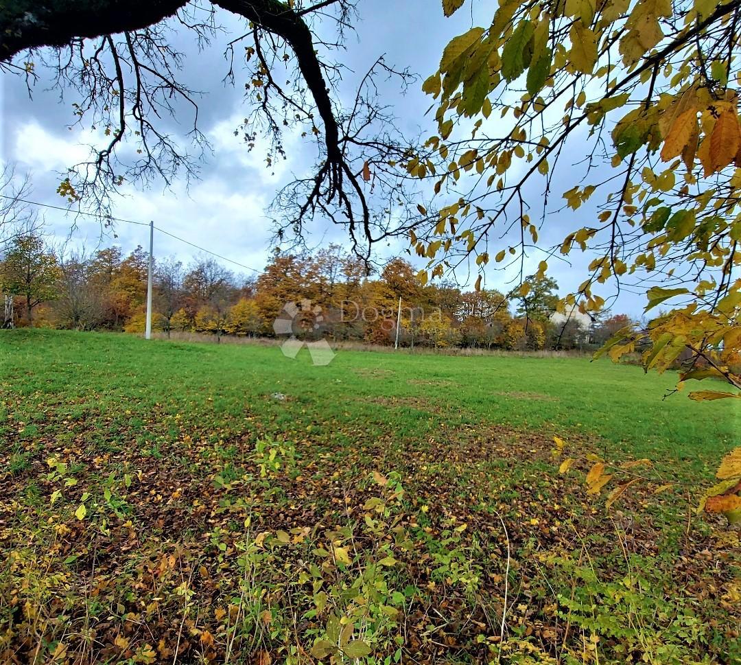 Land For sale - Ličko-senjska Donji Lapac - foto 1/3
