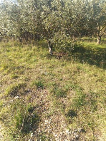 Land for sale 836 m² – Nin