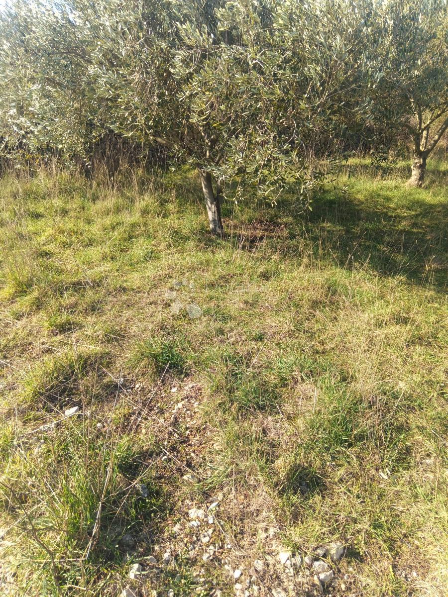 Terreno In vendita - Zadarska Nin - foto 1/3
