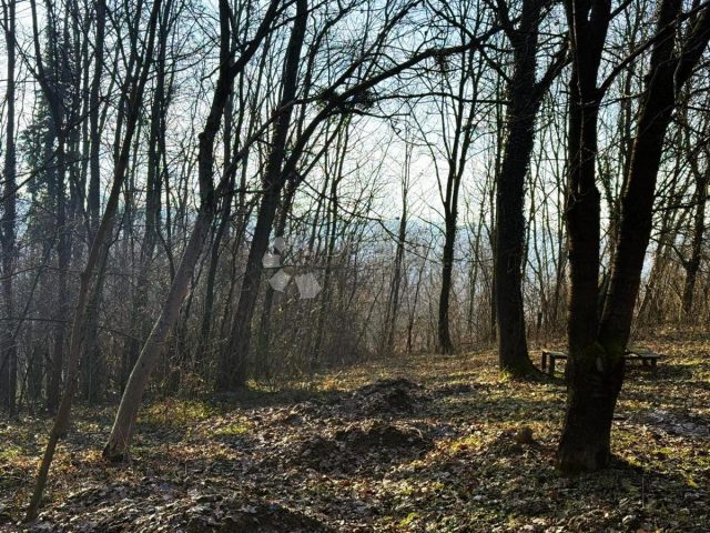 Land for sale 3239 m² – Gornji Kneginec