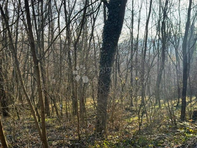 Parcela Na predaj - Varaždinska Gornji Kneginec - foto 2/3
