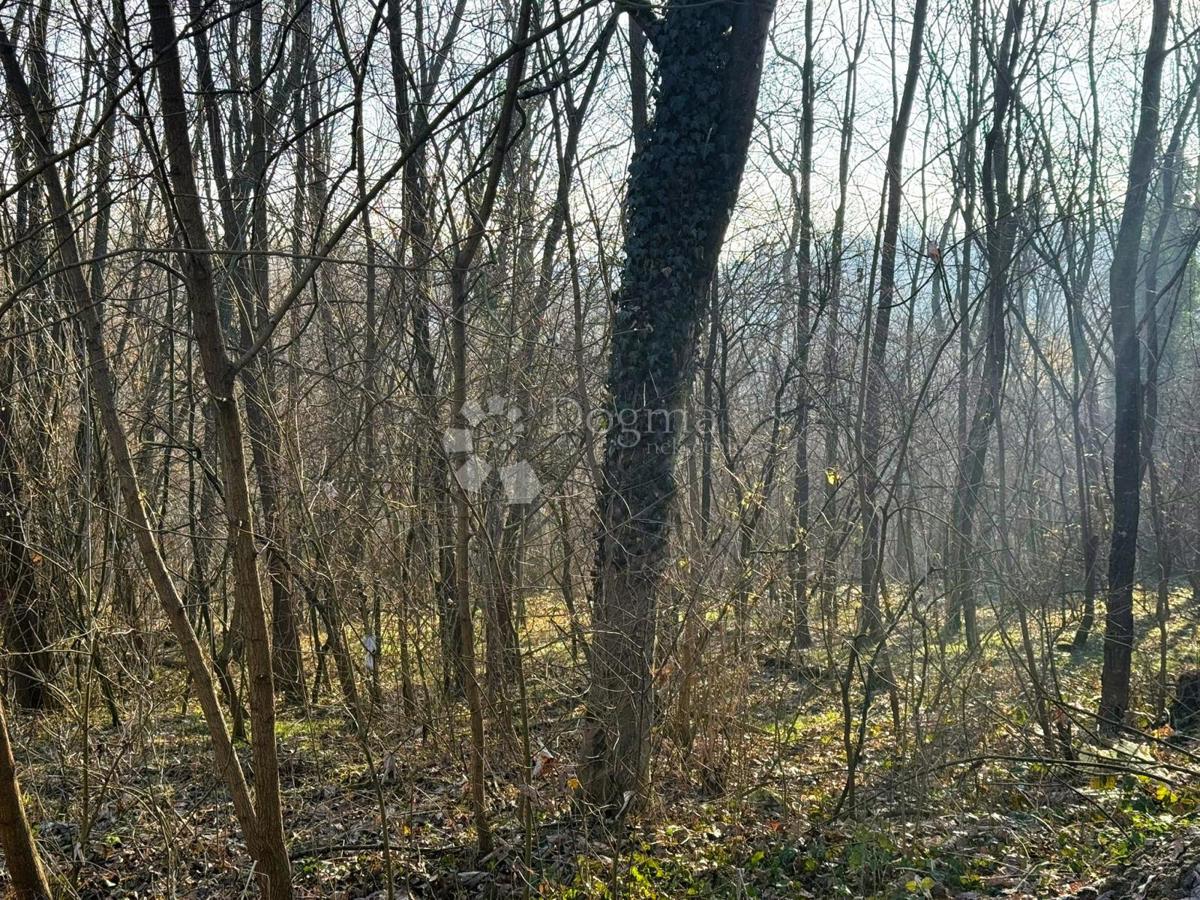 Parcela Na predaj - VARAŽDINSKA GORNJI KNEGINEC