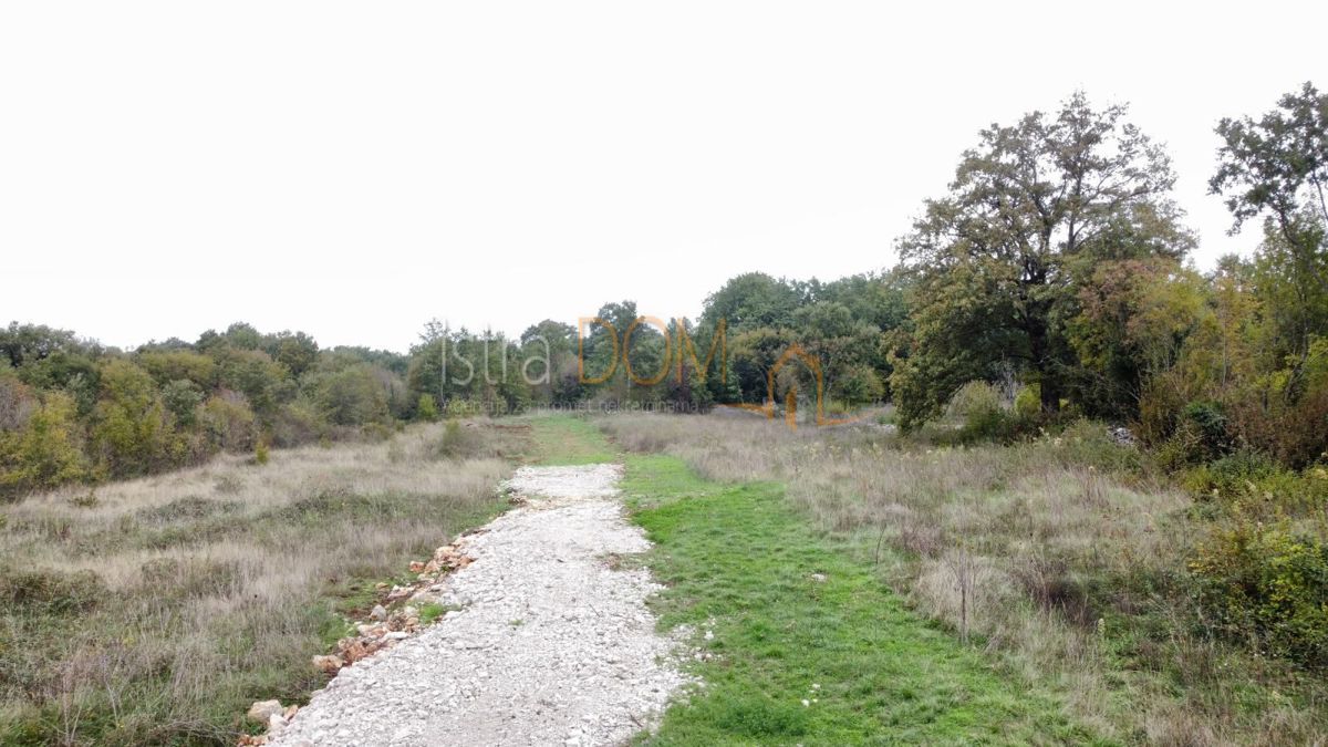 Land For sale - Istarska Svetvinčenat - foto 2/3