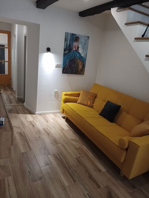 Haus Zu verkaufen - ISTARSKA BUJE