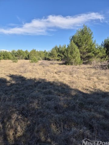 Land for sale 3015 m² – Vir