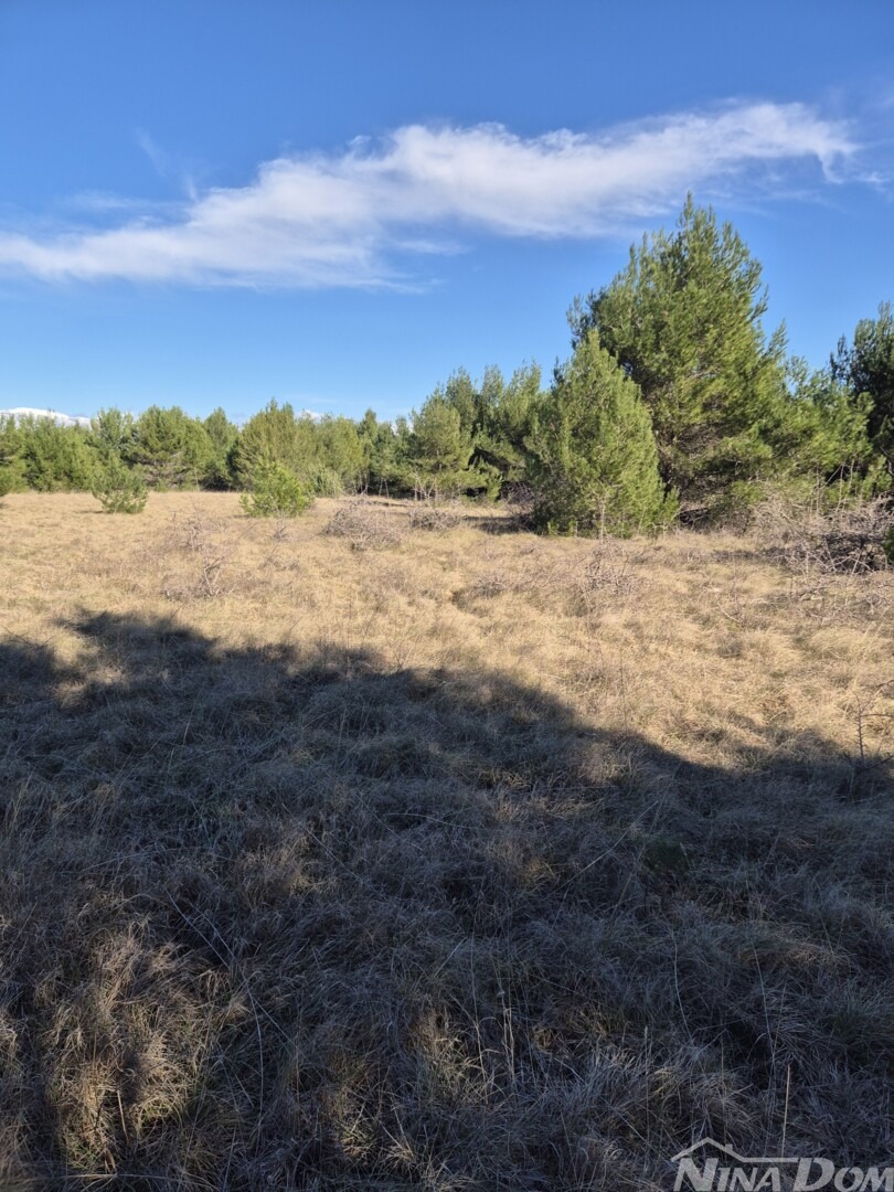 Land For sale - Zadarska Vir - foto 1/6
