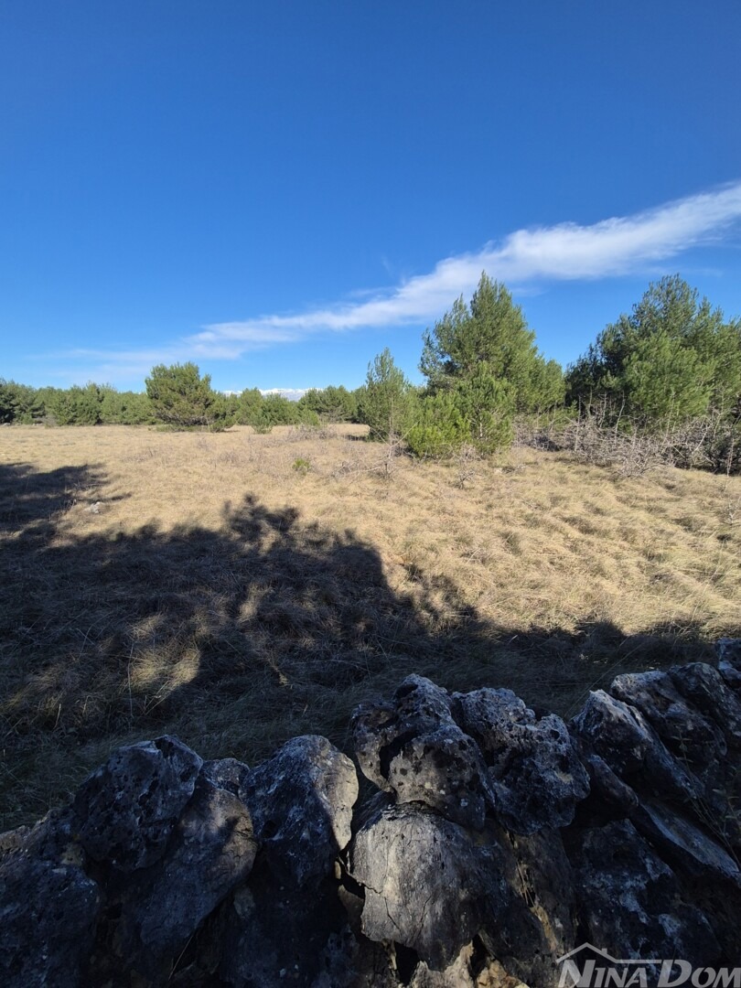 Land For sale - Zadarska Vir - foto 3/6