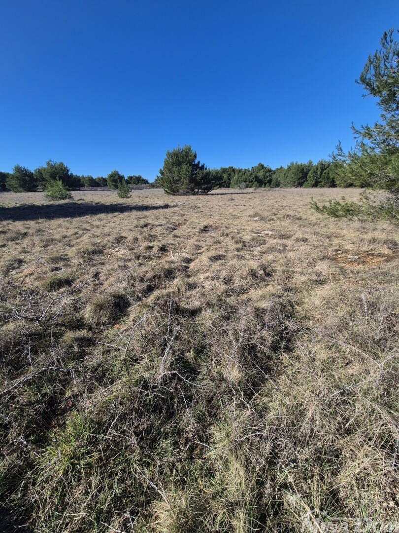 Land For sale - Zadarska Vir - foto 4/6