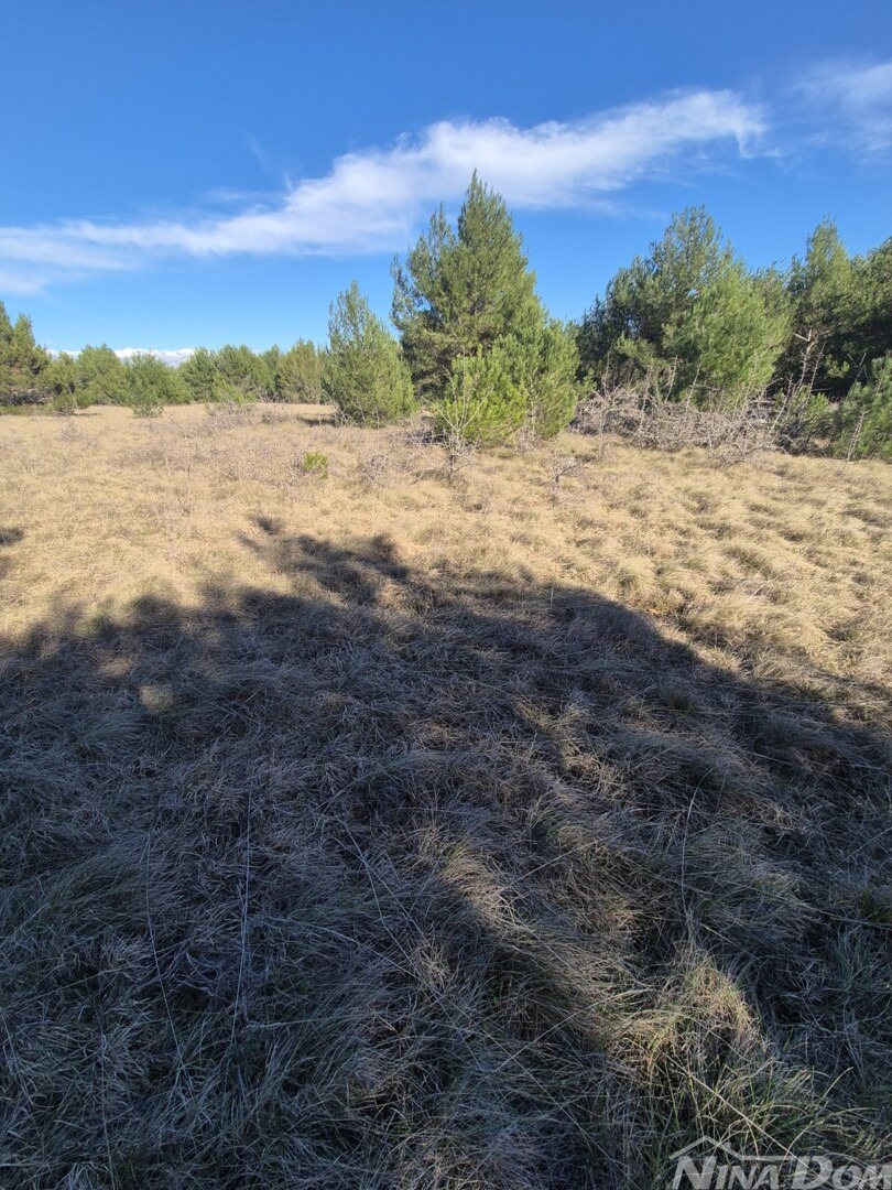 Land For sale - Zadarska Vir - foto 5/6