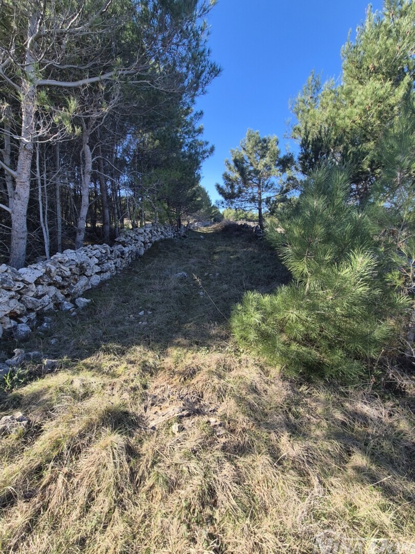 Land For sale - ZADARSKA VIR