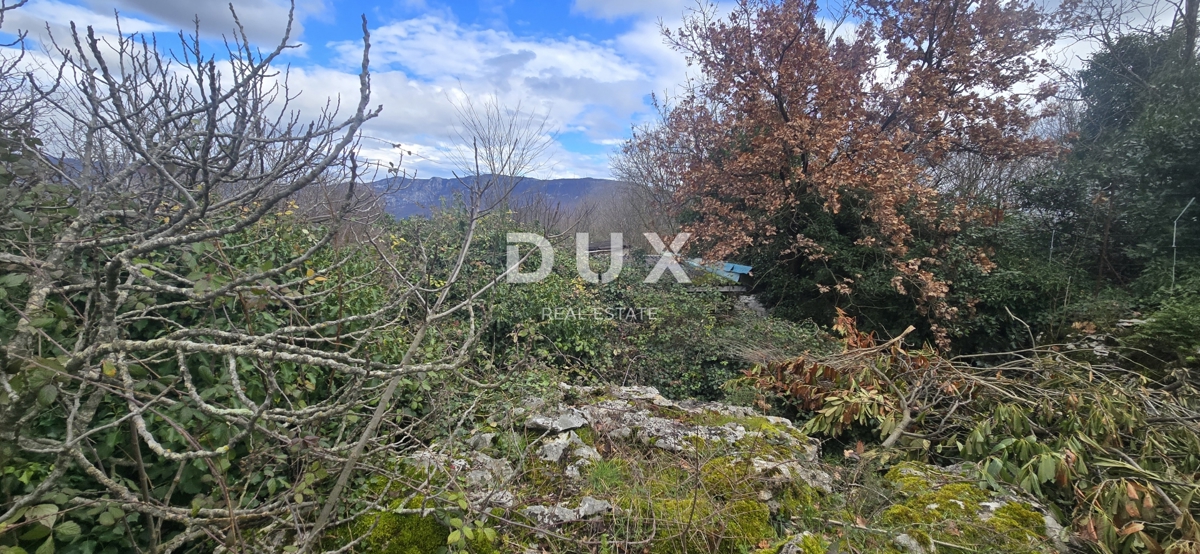 Haus Zu verkaufen - ISTARSKA LABIN