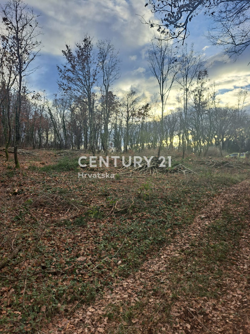 Land For sale - Istarska Tinjan - foto 1/8