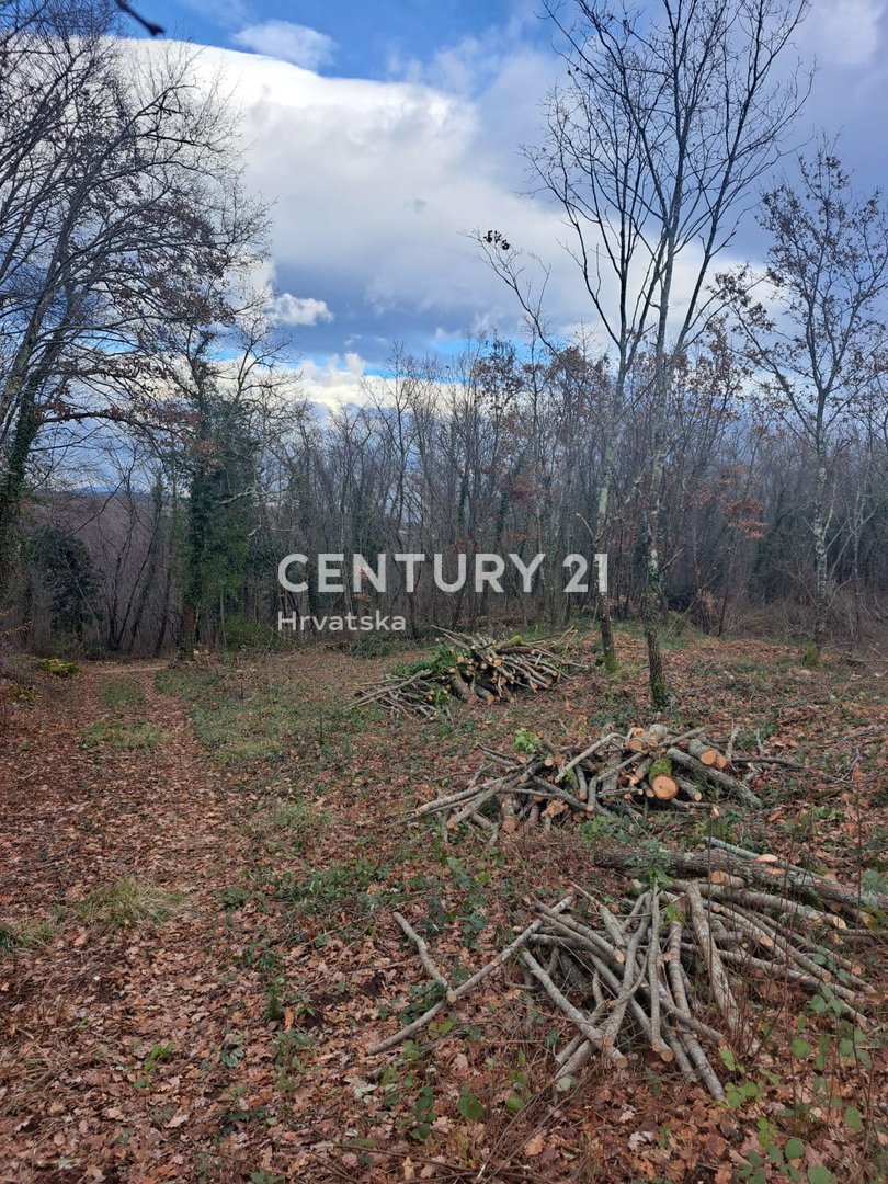 Land For sale - Istarska Tinjan - foto 2/8