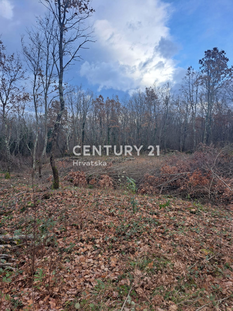 Land For sale - Istarska Tinjan - foto 3/8