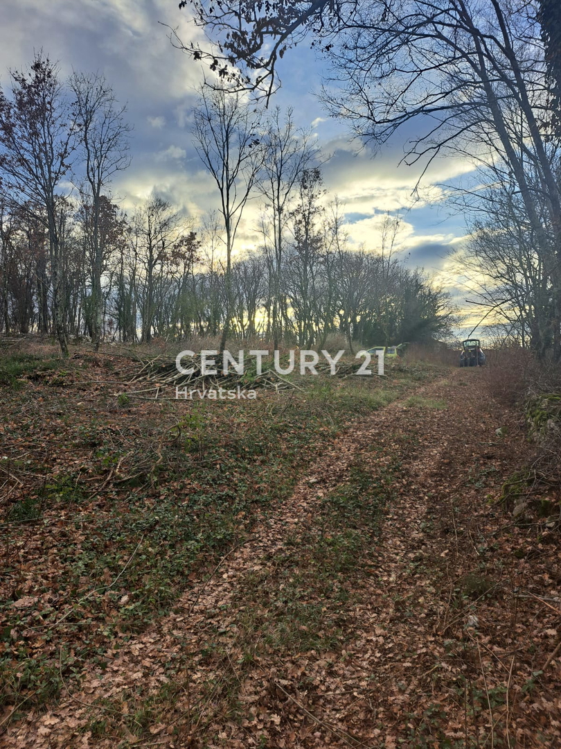 Land For sale - Istarska Tinjan - foto 4/8