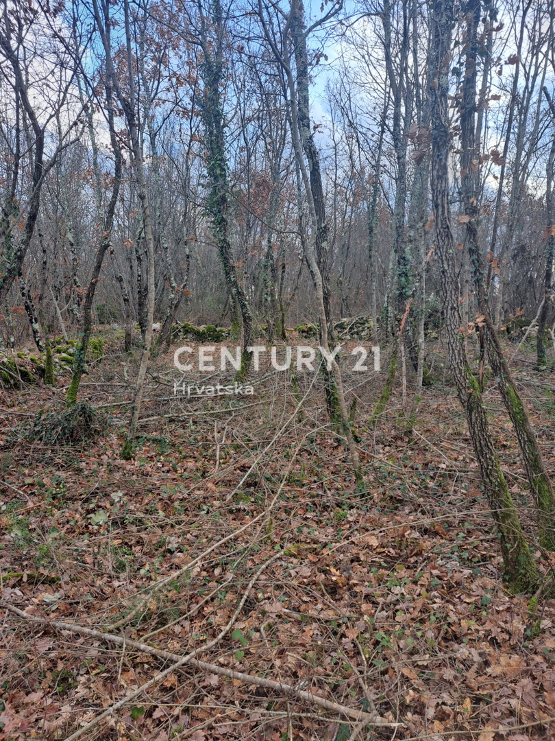 Land For sale - Istarska Tinjan - foto 5/8