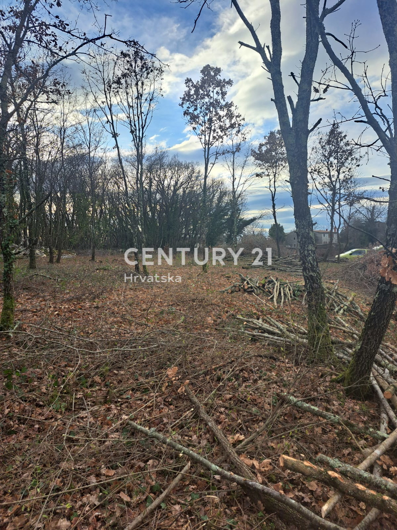 Land For sale - ISTARSKA TINJAN