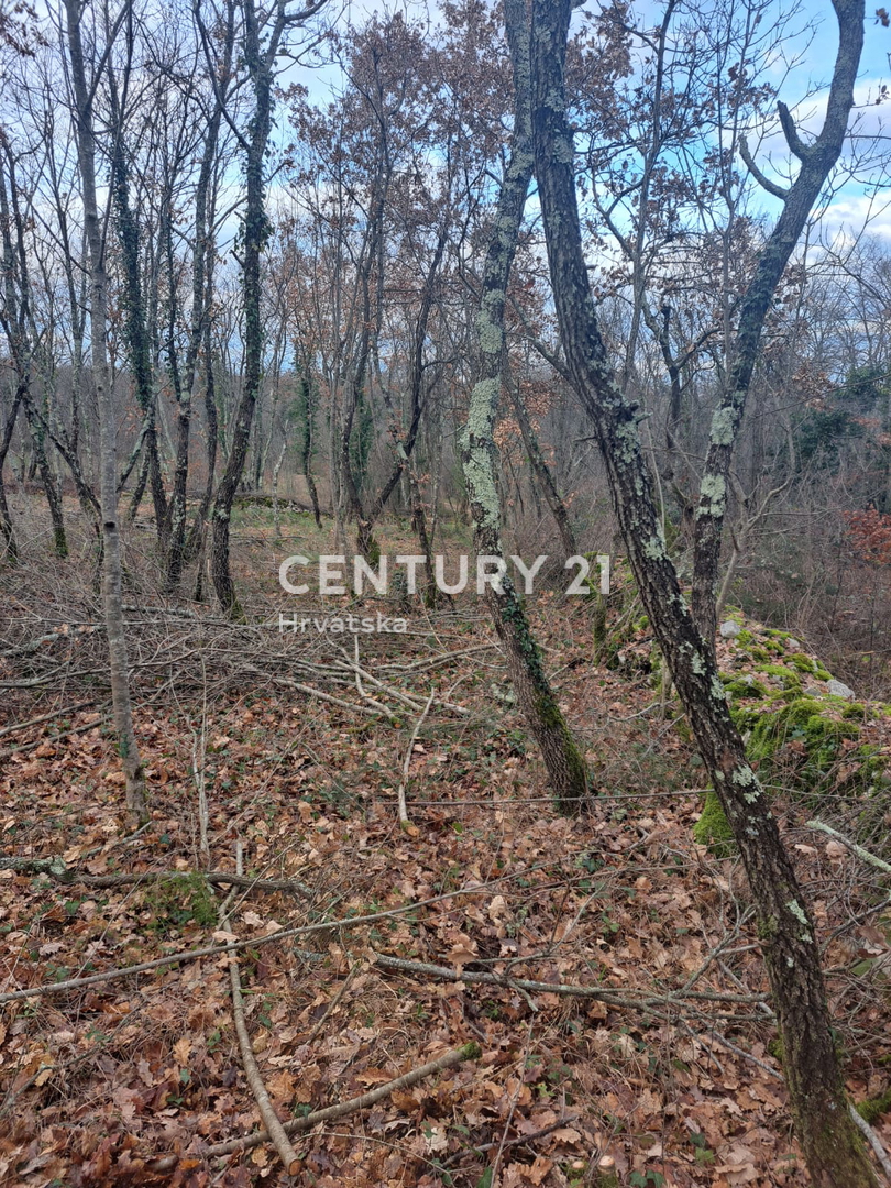 Land For sale - ISTARSKA TINJAN