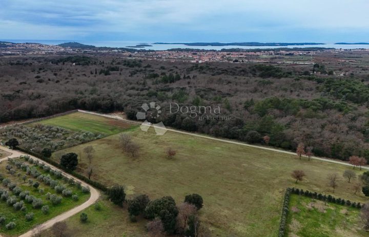 Terrain À vendre - Istarska Vodnjan - foto 4/15