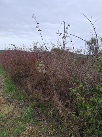 Land For sale - Zadarska Ražanac - foto 2/2