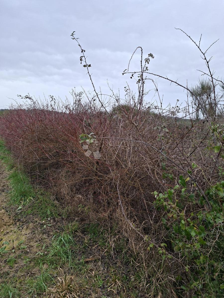 Terreno In vendita - Zadarska Ražanac - foto 2/2