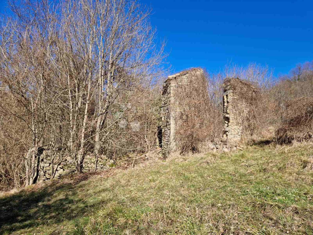 Terrain À vendre - ISTARSKA PAZIN
