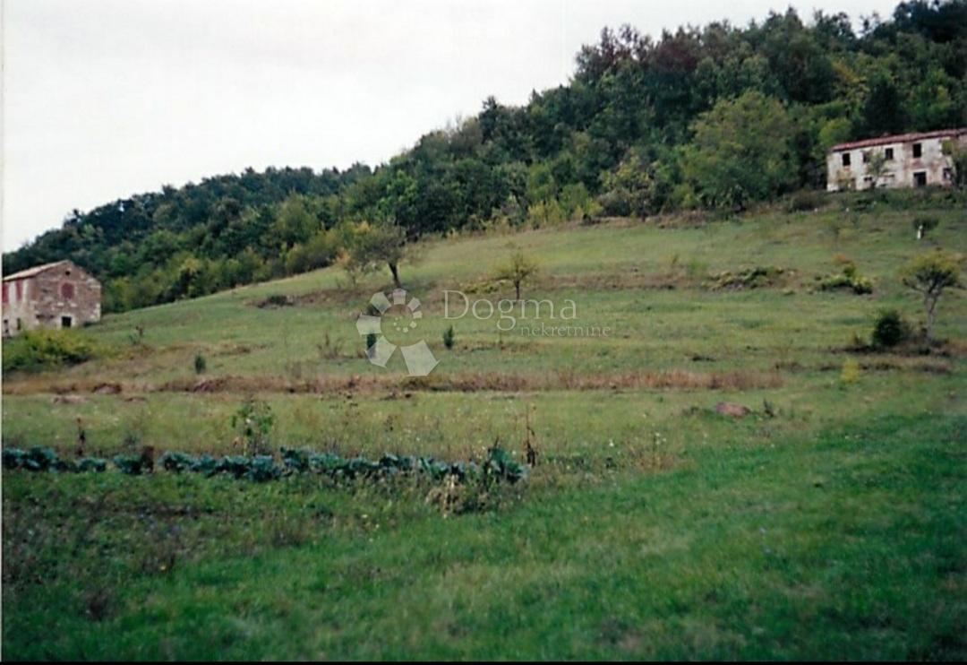 Terrain À vendre - ISTARSKA PAZIN