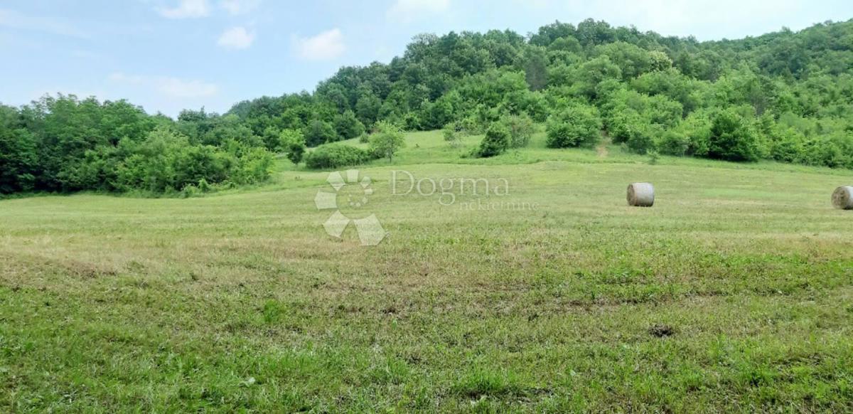 Terrain À vendre - ISTARSKA PAZIN