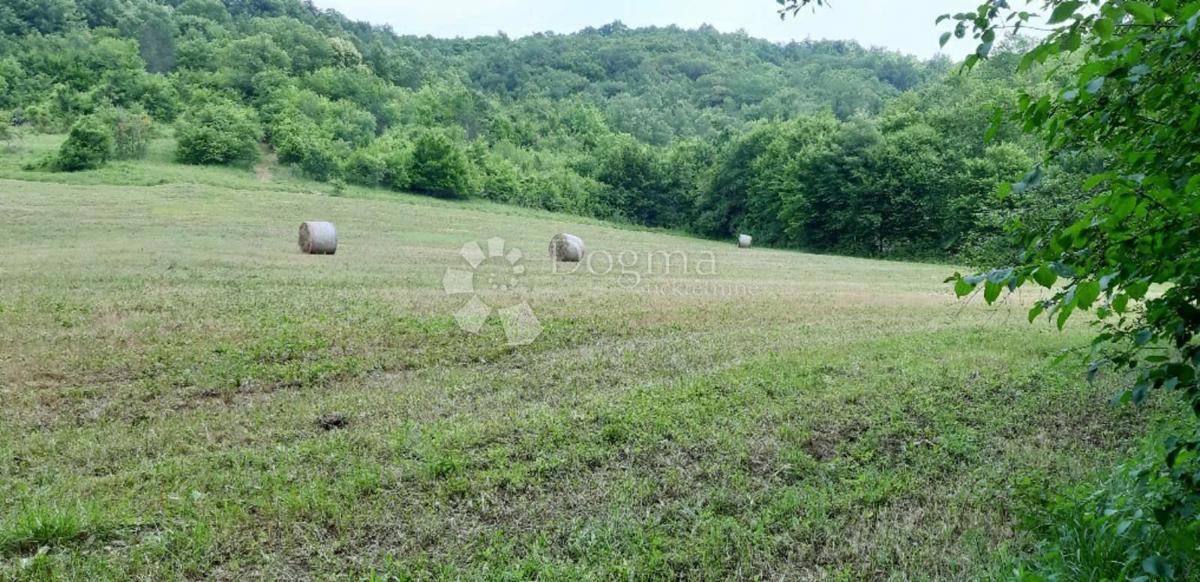 Terrain À vendre - ISTARSKA PAZIN