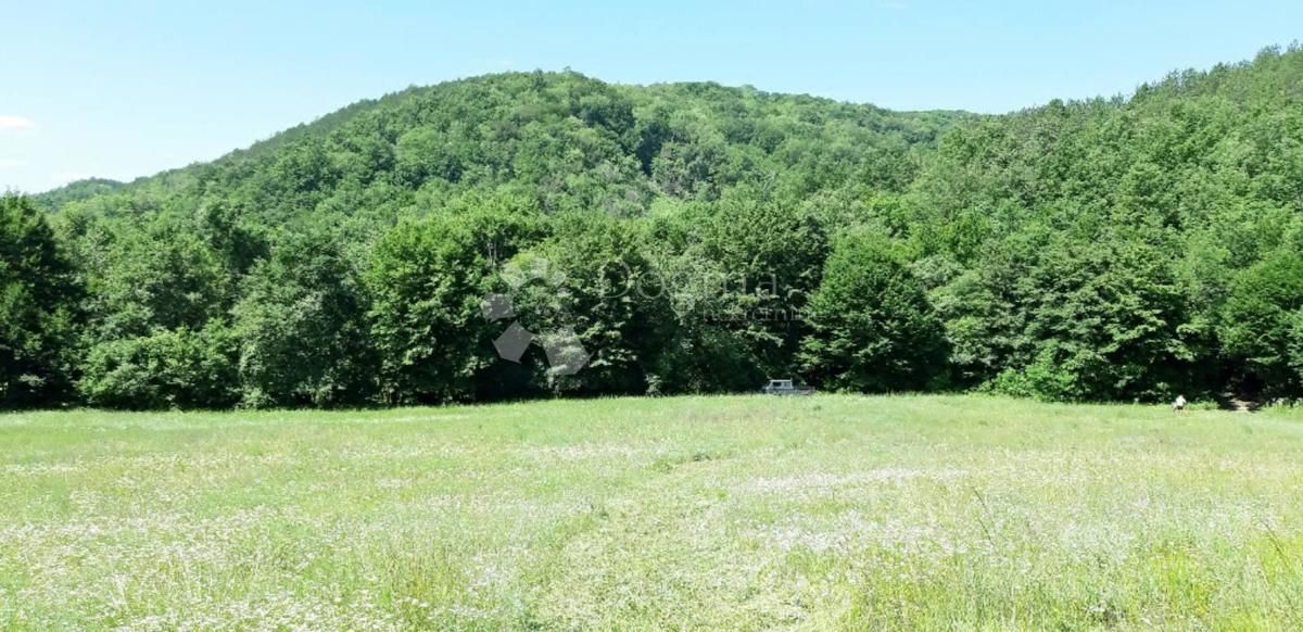 Terrain À vendre - ISTARSKA PAZIN