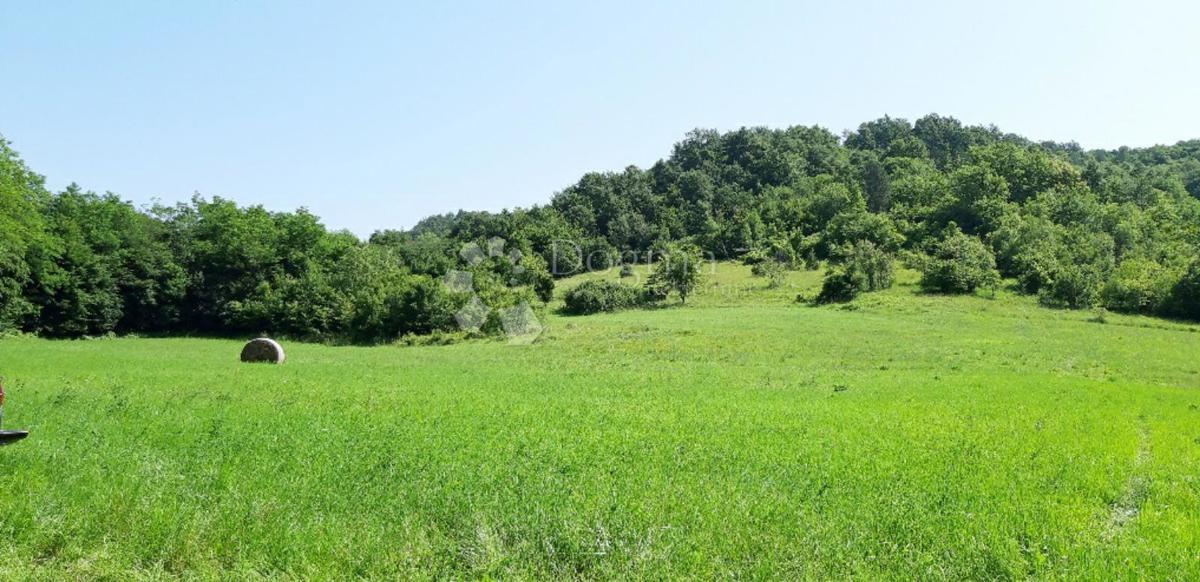 Terrain À vendre - ISTARSKA PAZIN