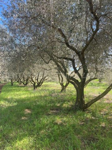 Grundstück zu verkaufen 1722 m² – Biograd Na Moru