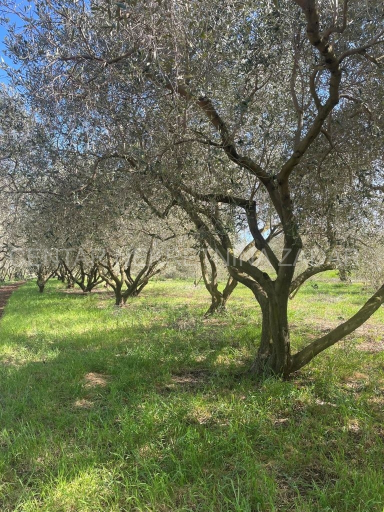 Zemljište Na prodaju - ZADARSKA BIOGRAD NA MORU