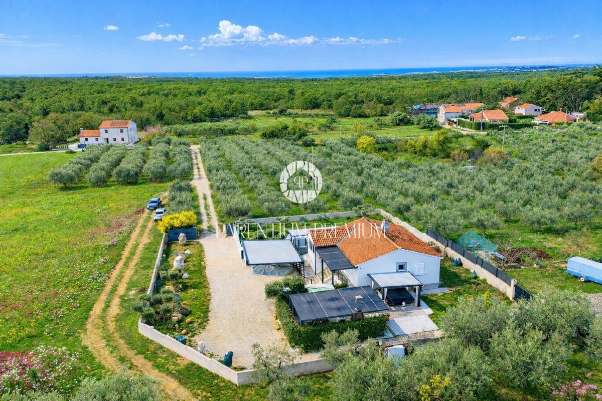 Dom Na sprzedaż - Istarska Poreč - foto 1/40