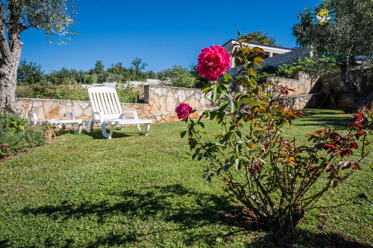 Casa In vendita - Istarska Poreč - foto 3/42