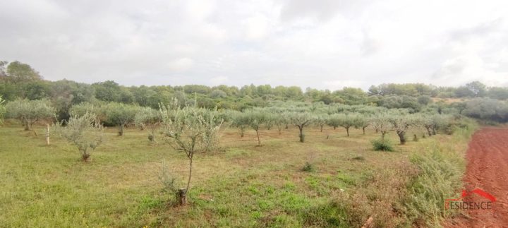 Land For sale - Istarska Medulin - foto 3/7