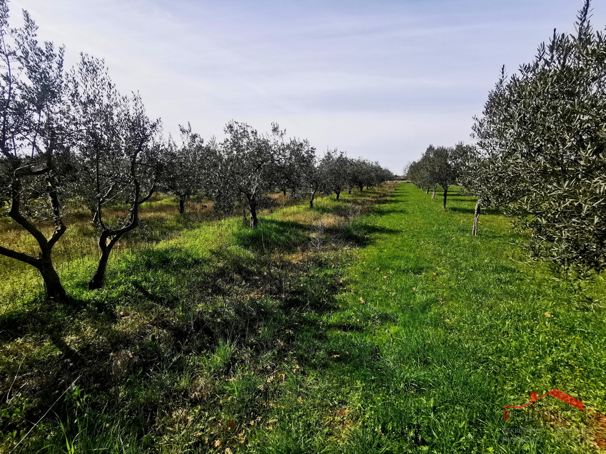 Land For sale - Istarska Vodnjan - foto 1/7
