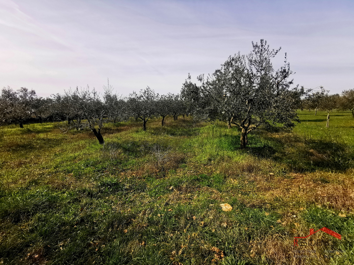 Land For sale - Istarska Vodnjan - foto 2/7