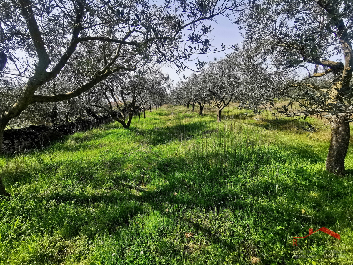 Land For sale - Istarska Vodnjan - foto 5/7