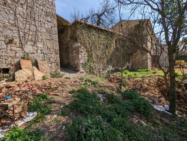 Maison À vendre - Istarska Karojba - foto 5/15