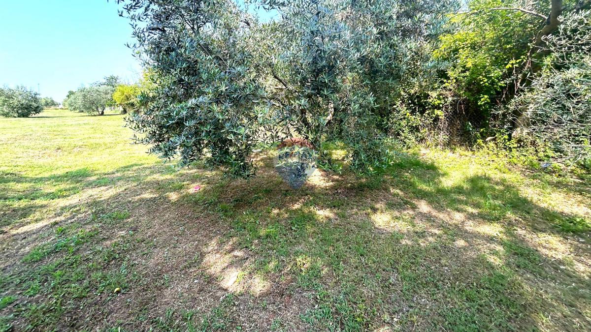 Pozemek Na prodej - ISTARSKA UMAG