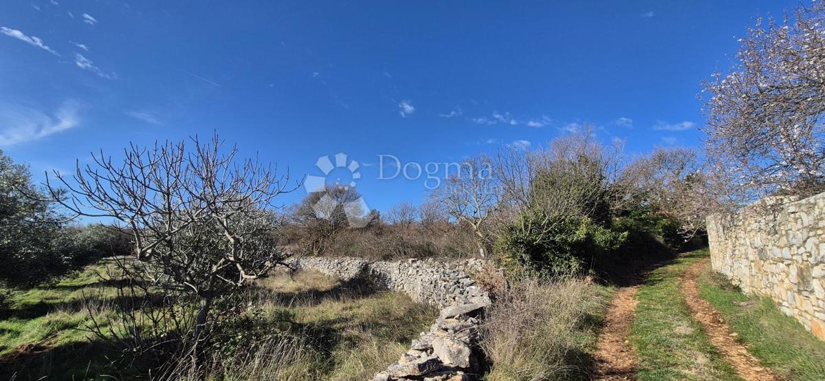 Terreno In vendita - Istarska Marčana - foto 3/18