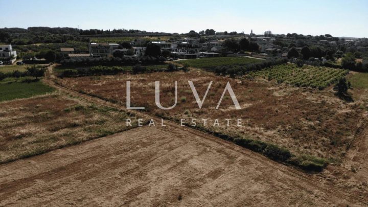 Terreno In vendita - Istarska Kaštelir - foto 3/6