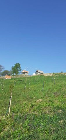 Grundstück Zu verkaufen - Krapinsko-zagorska Veliko Trgovišće - foto 3/20